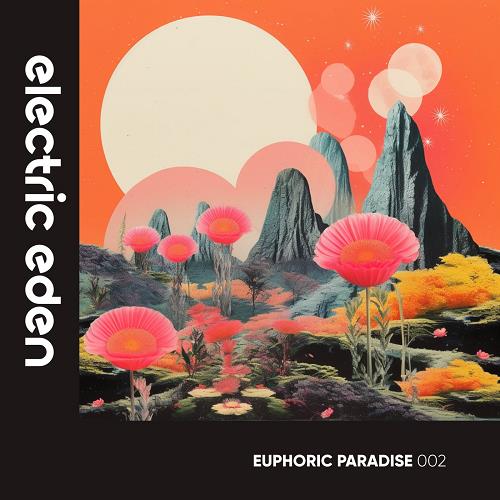 VA - Euphoric Paradise 002 [EERLP002]